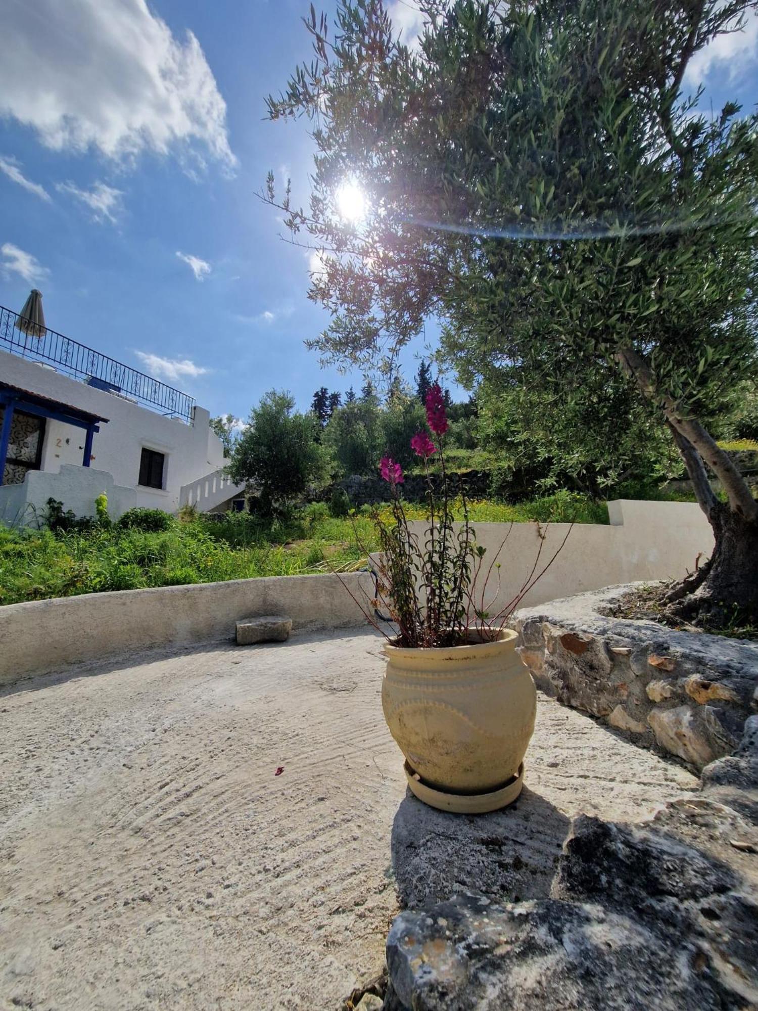 Stefanos Garden Apartment Armenoi  Luaran gambar