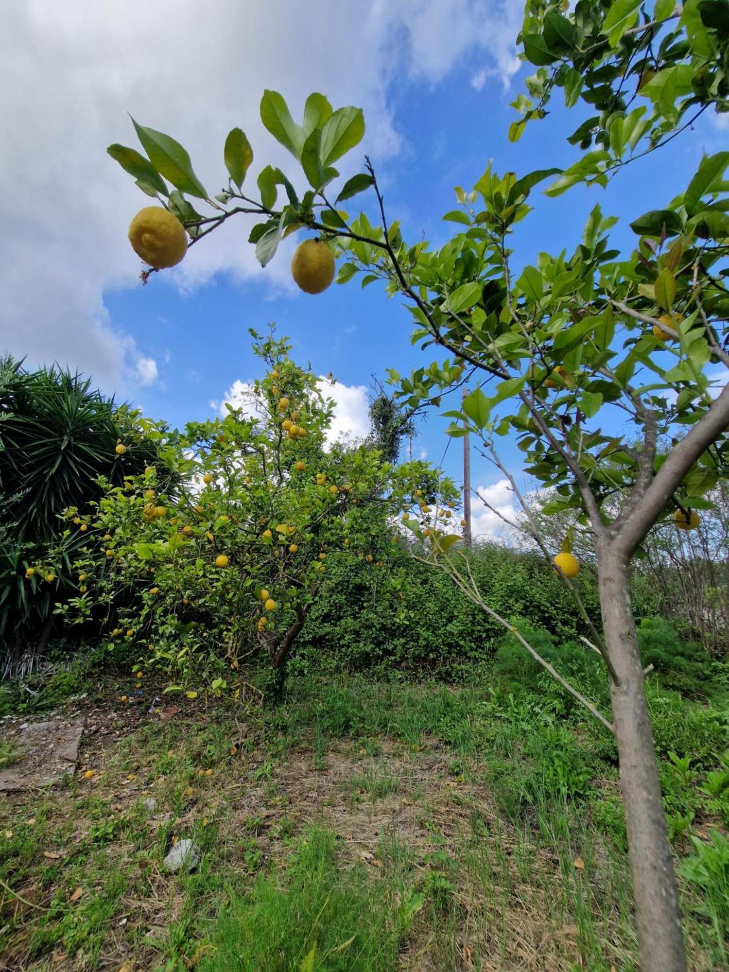 Stefanos Garden Apartment Armenoi  Luaran gambar