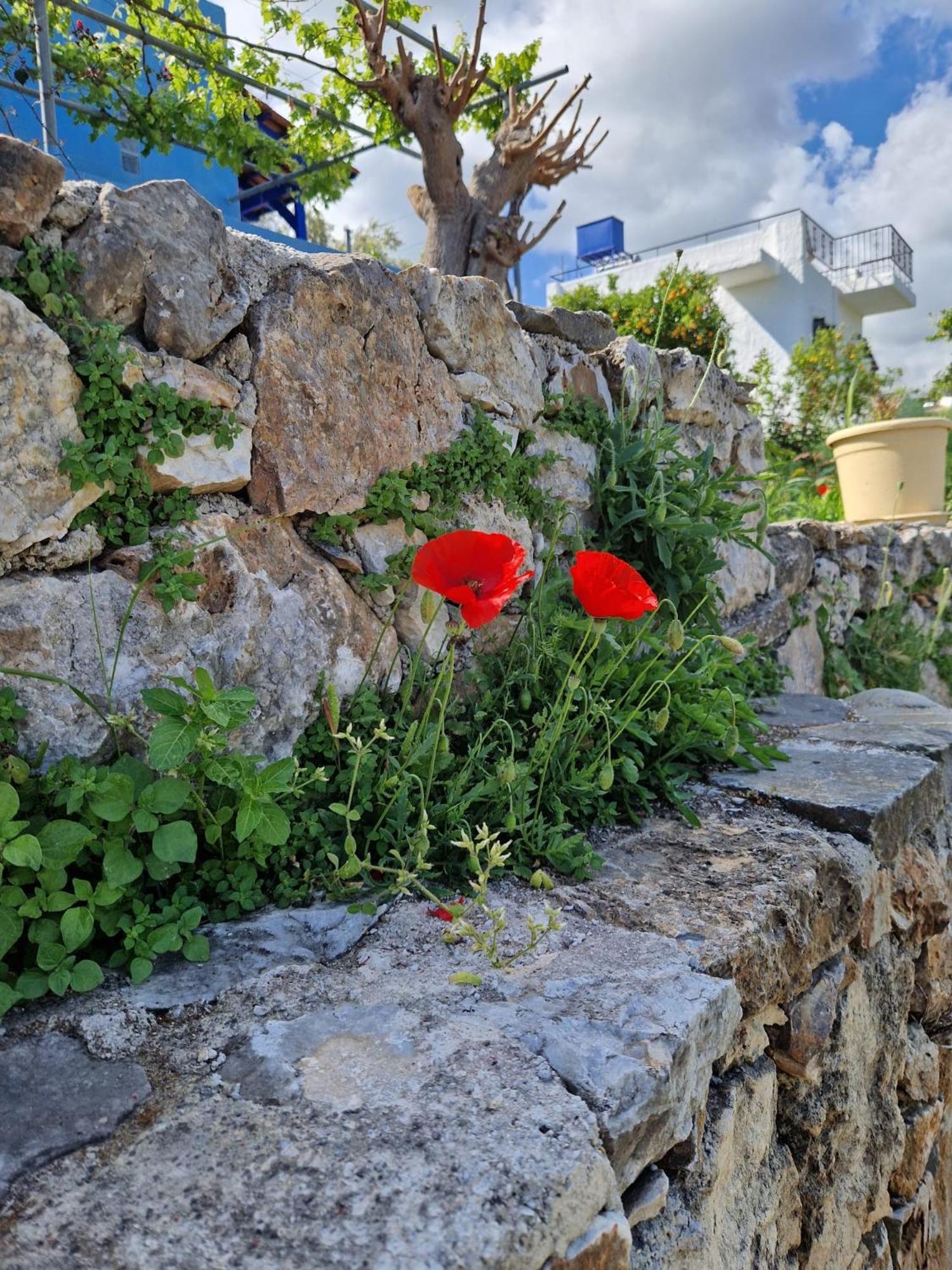 Stefanos Garden Apartment Armenoi  Luaran gambar