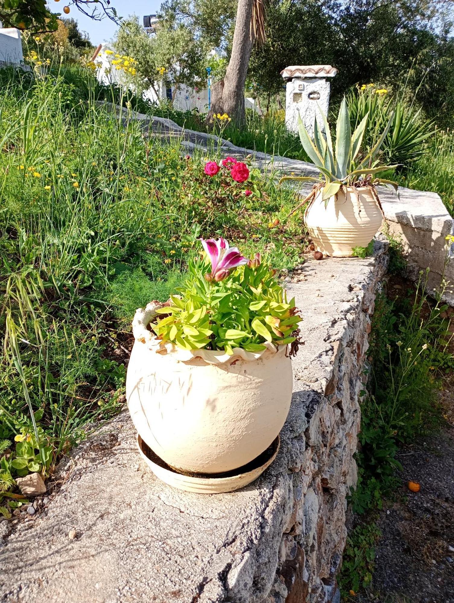 Stefanos Garden Apartment Armenoi  Bilik gambar